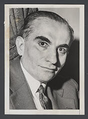 Representative Morris Michael Edelstein - Democratic New York