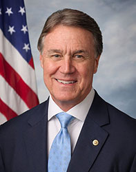 senator David Perdue
