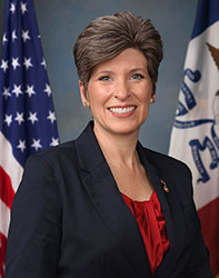 senator Joni Ernst from Iowa senator Joni Ernst - Republican Iowa