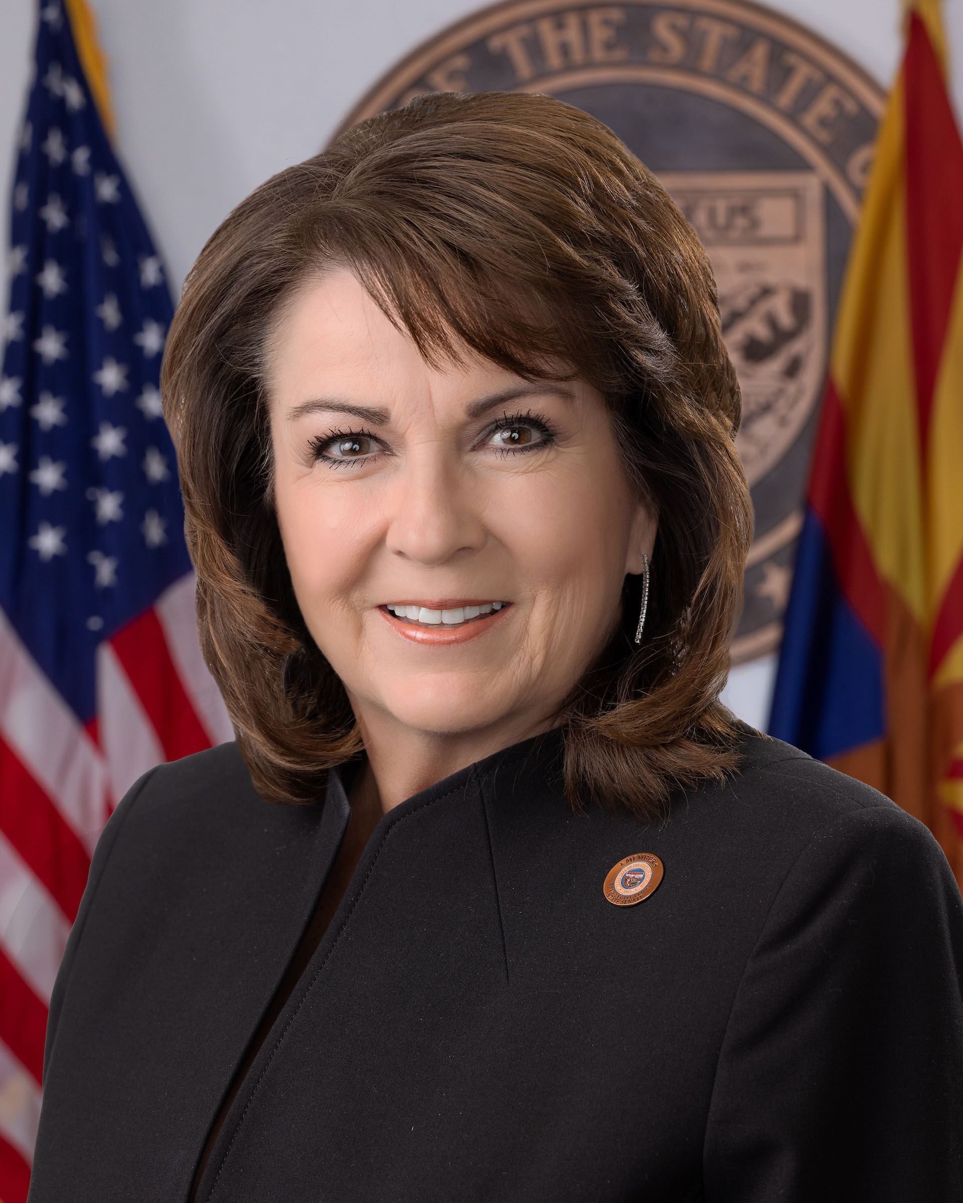 Senator David Gowan - Republican Arizona