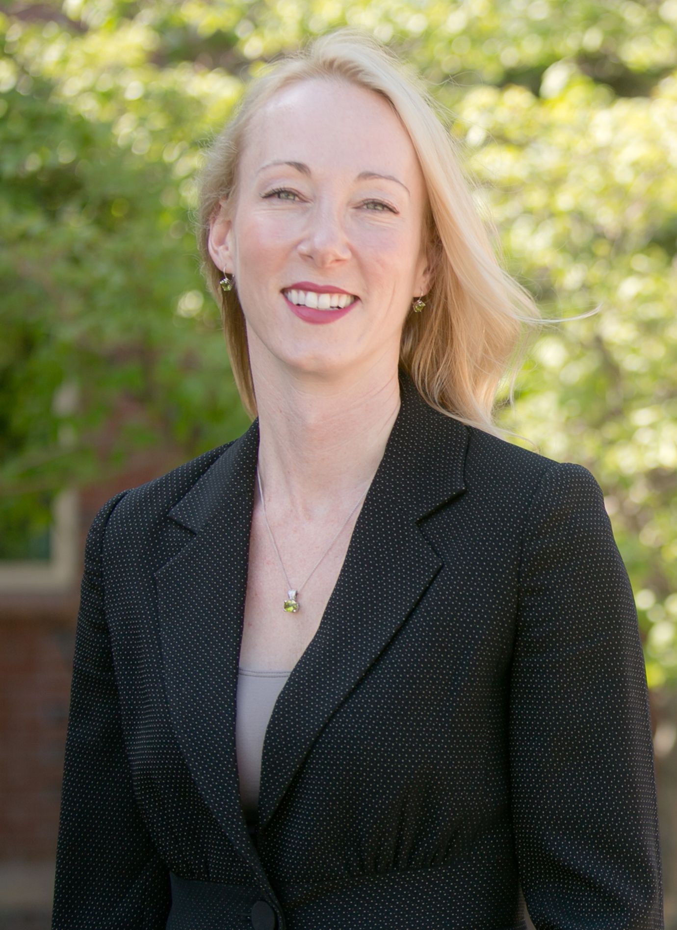 Representative Kerry Wood - Democratic Connecticut