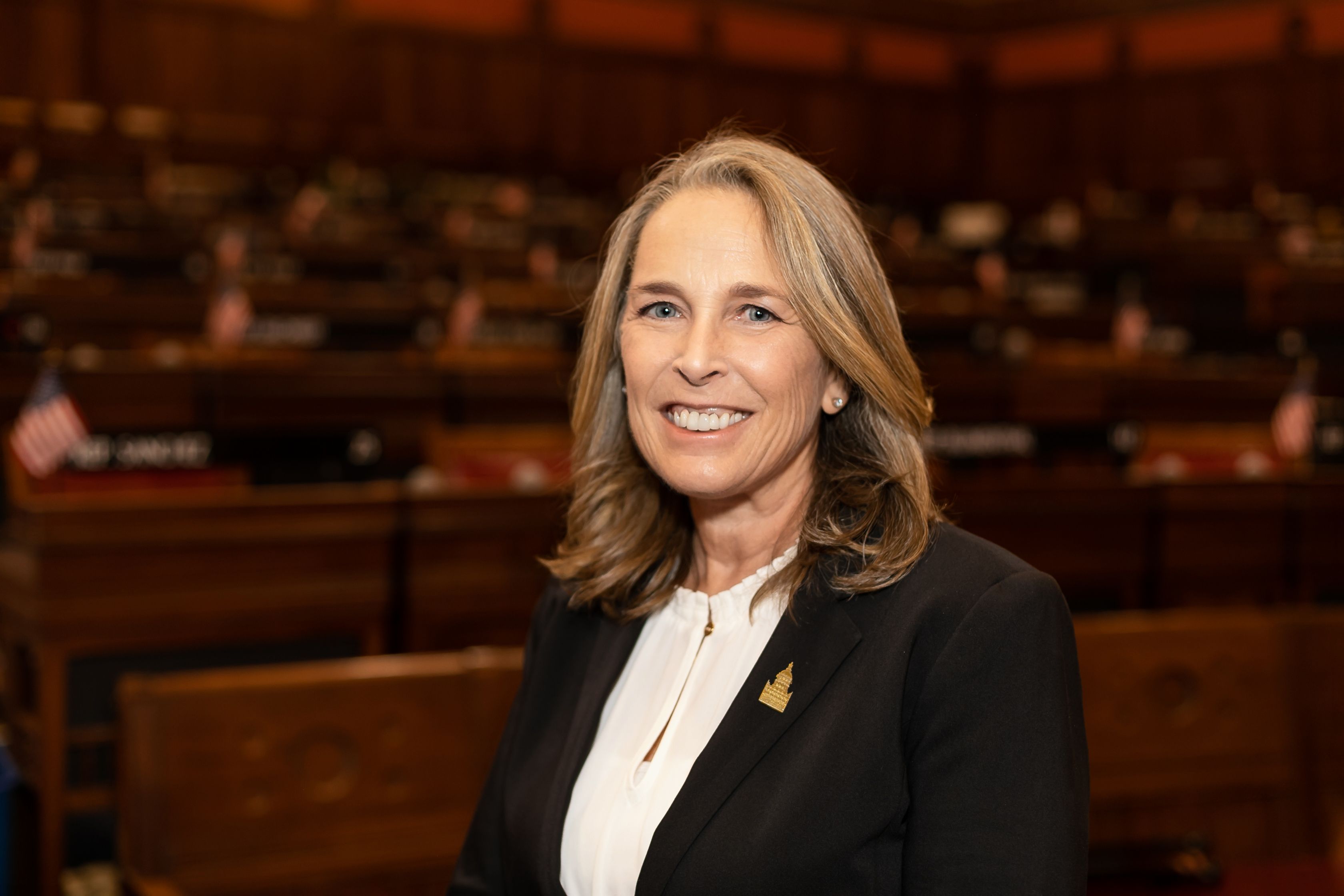 Representative Robin Comey - Democratic Connecticut