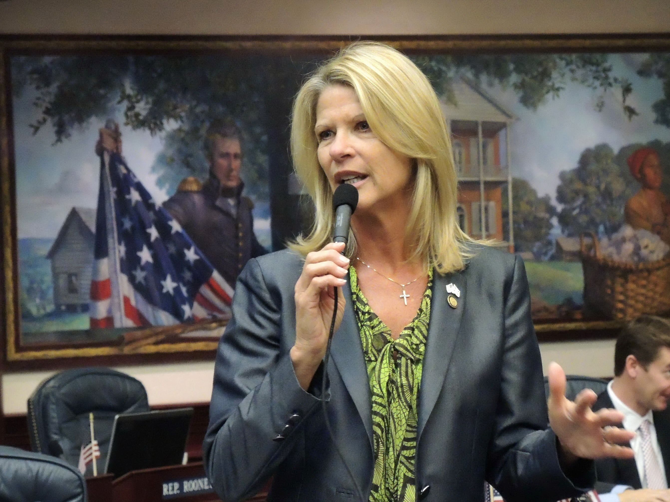 Representative Debbie Mayfield - Republican Florida