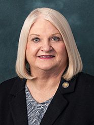 Senator Linda Stewart - Democratic Florida