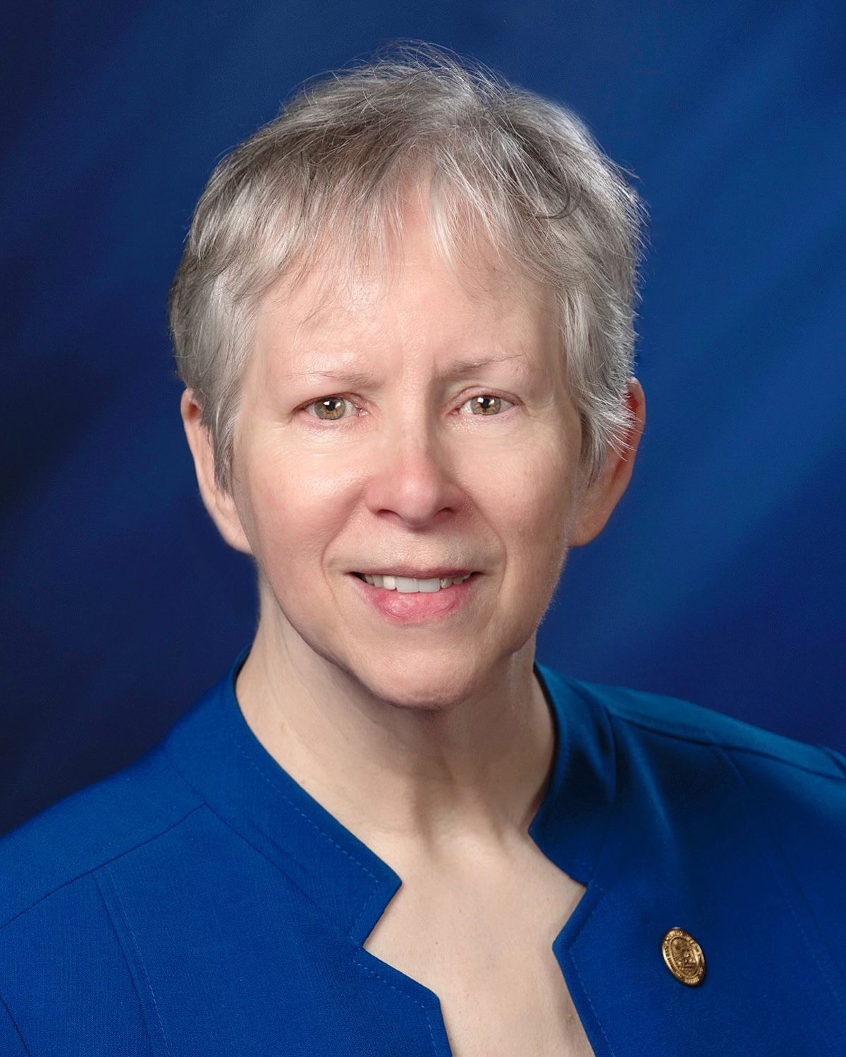 Representative Pat Boy from Indiana Representative Pat Boy - Democratic Indiana