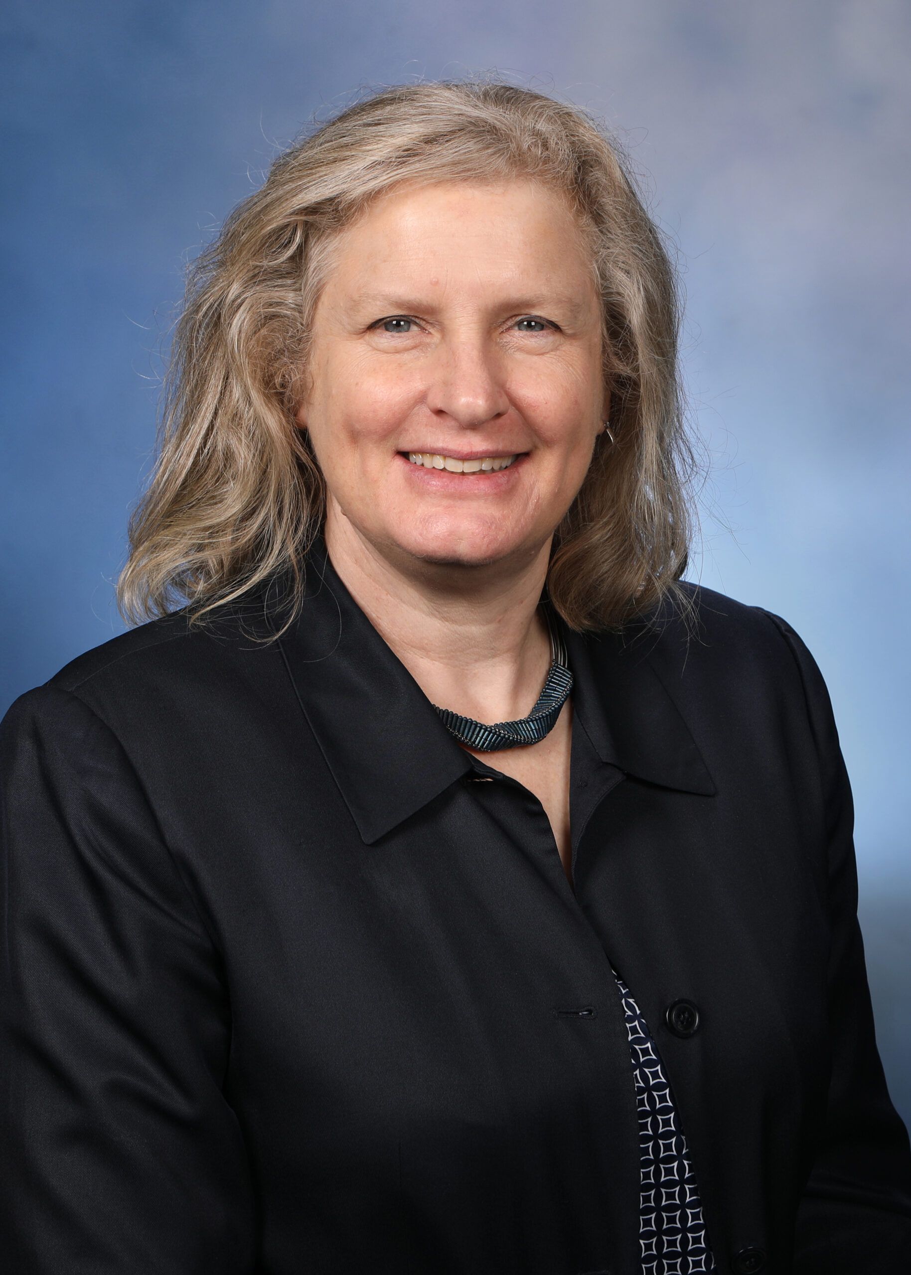 Representative Jenn Hill - Democratic Michigan
