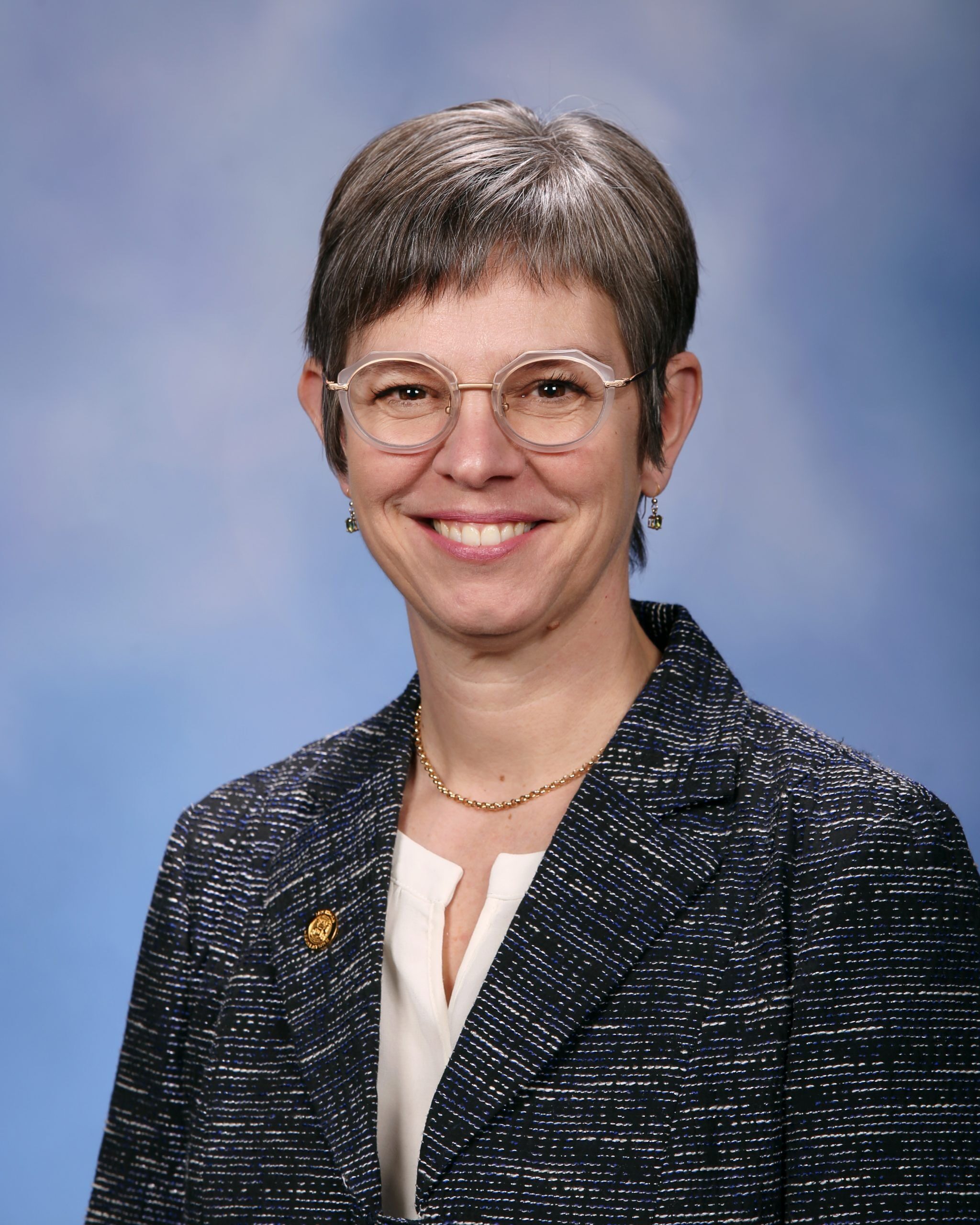 Representative Julie Brixie - Democratic Michigan