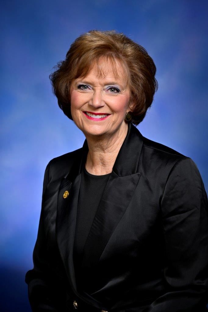 Representative Nancy DeBoer - Republican Michigan