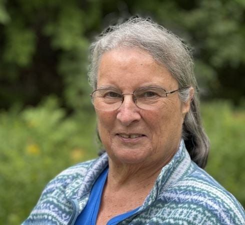 Representative Gail Pare from New Hampshire Representative Gail Pare - Democratic New Hampshire