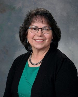 Representative Debra Sariñana - Democratic New Mexico