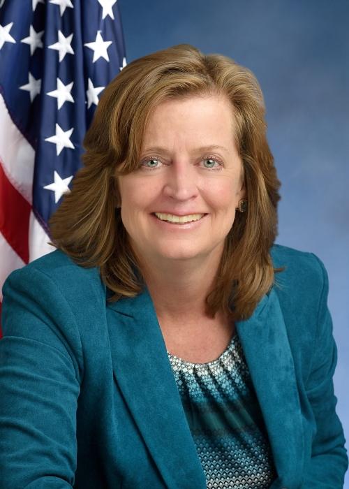 Representative Judy Griffin - Democratic New York
