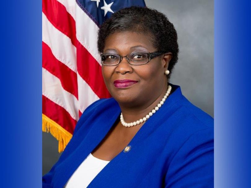 Senator Roxanne Persaud - Democratic New York