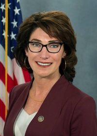 Representative Mary Isaacson - Democratic Pennsylvania