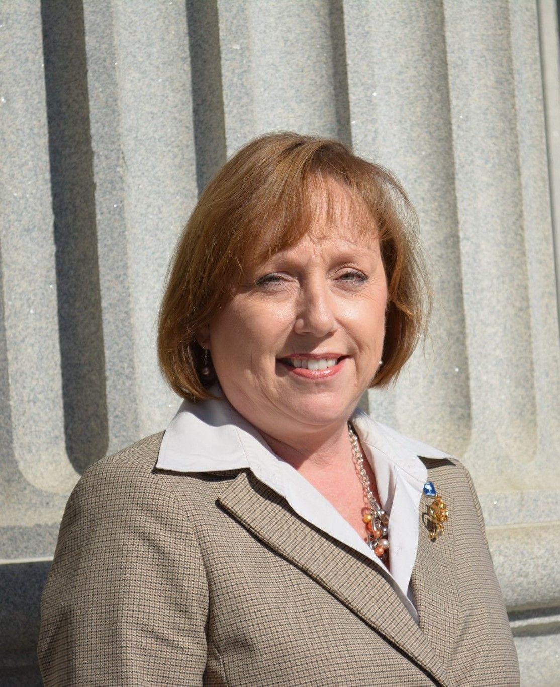 Representative Raye Felder from South Carolina Representative Raye Felder - Republican South Carolina