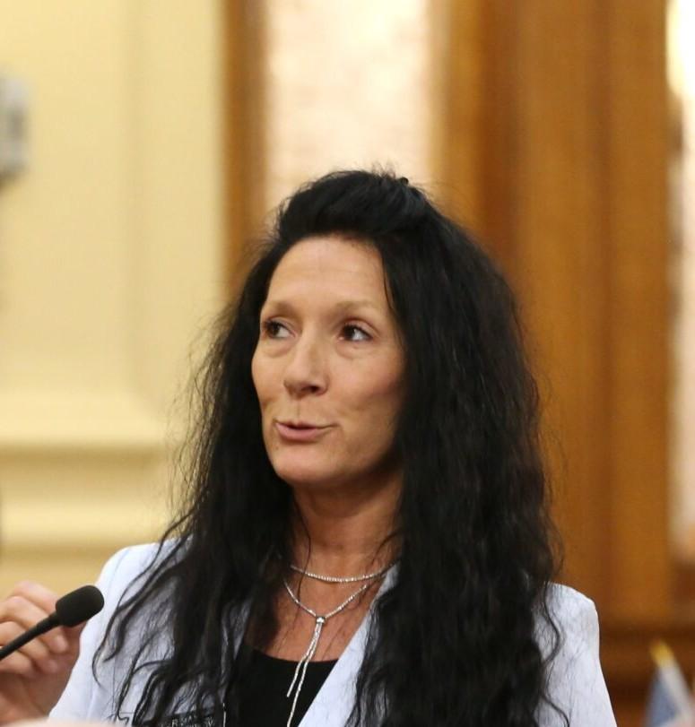 Representative Heather Baxter from South Dakota Representative Heather Baxter - Republican South Dakota