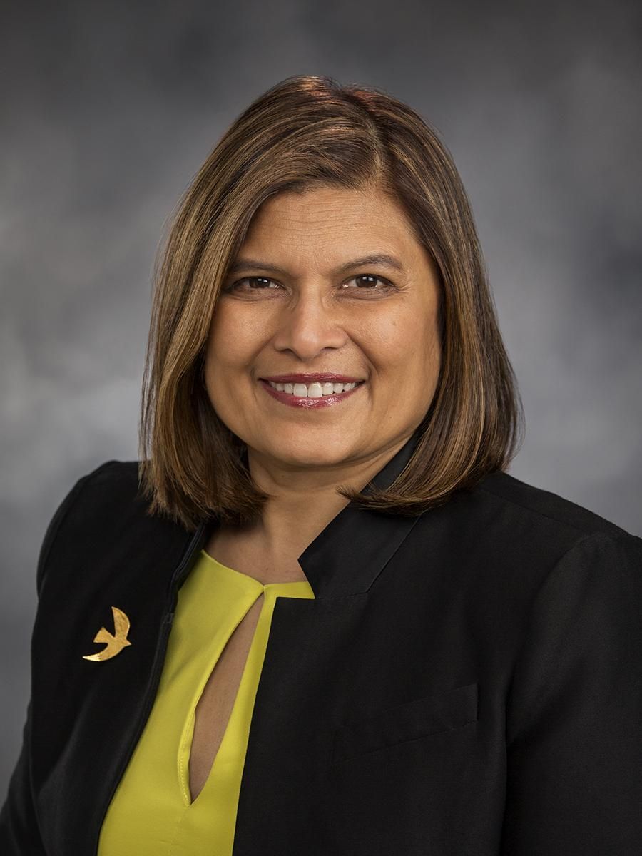 Senator Vandana Slatter from Washington Senator Vandana Slatter - Democratic Washington